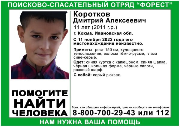 В Ивановской области без вести пропал 11-летний ребенок 