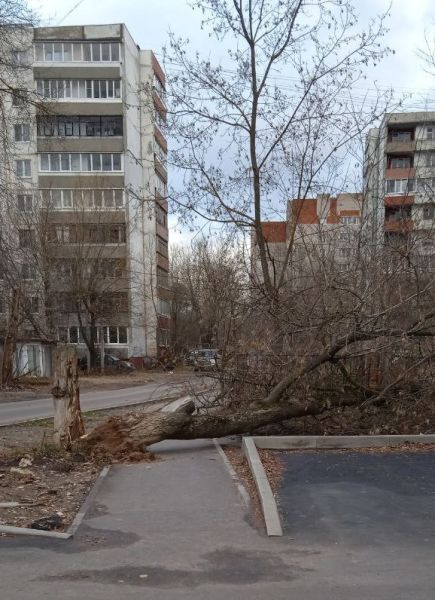 В Иванове ликвидируют последствия шквалистого ветра 